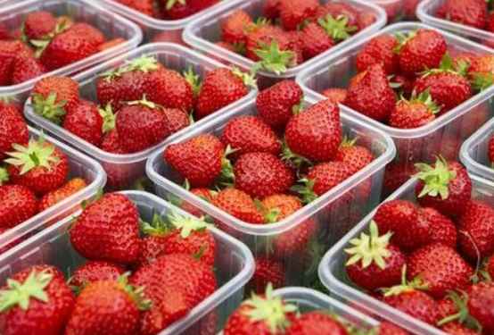 建一个草莓保鲜冷库需要多少钱